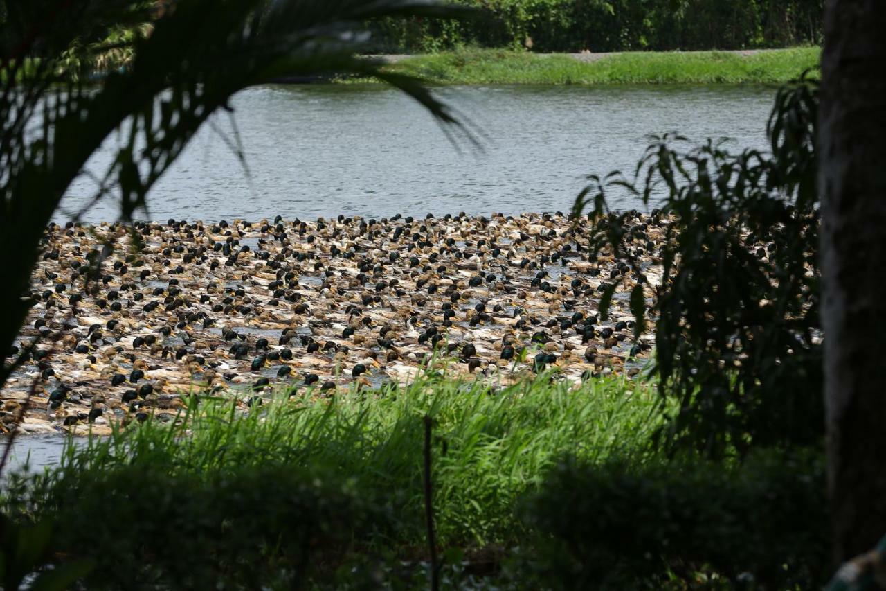 Green Palace Ayurveda Resort, Alleppey Alappuzha Exteriér fotografie